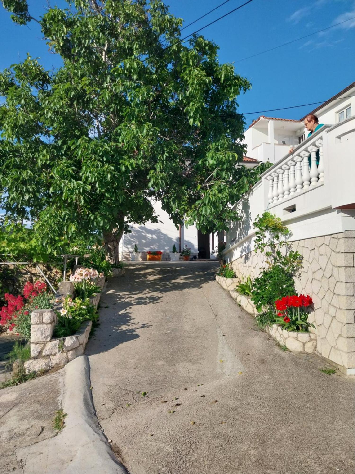 Ljubica Apartments And Rooms Supetarska Draga Exterior foto